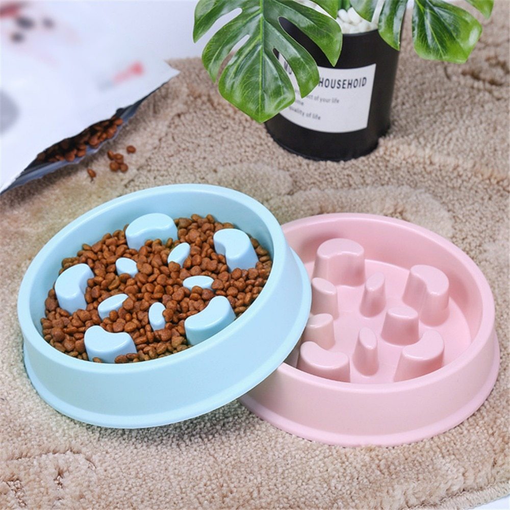 Slow Feeder Bone Design Pet Bowl