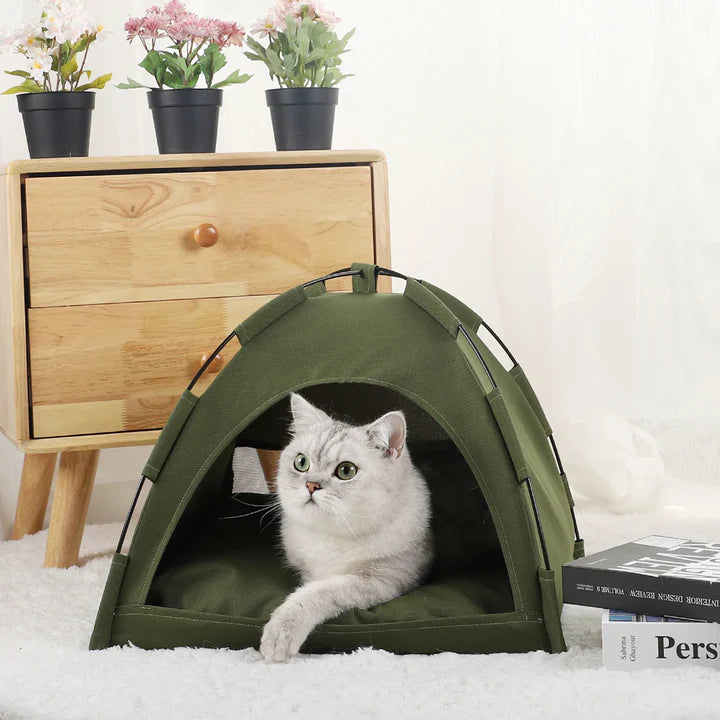 Winter Clamshell Kitten Tents Cat